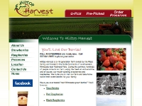 Hilltop Harvest