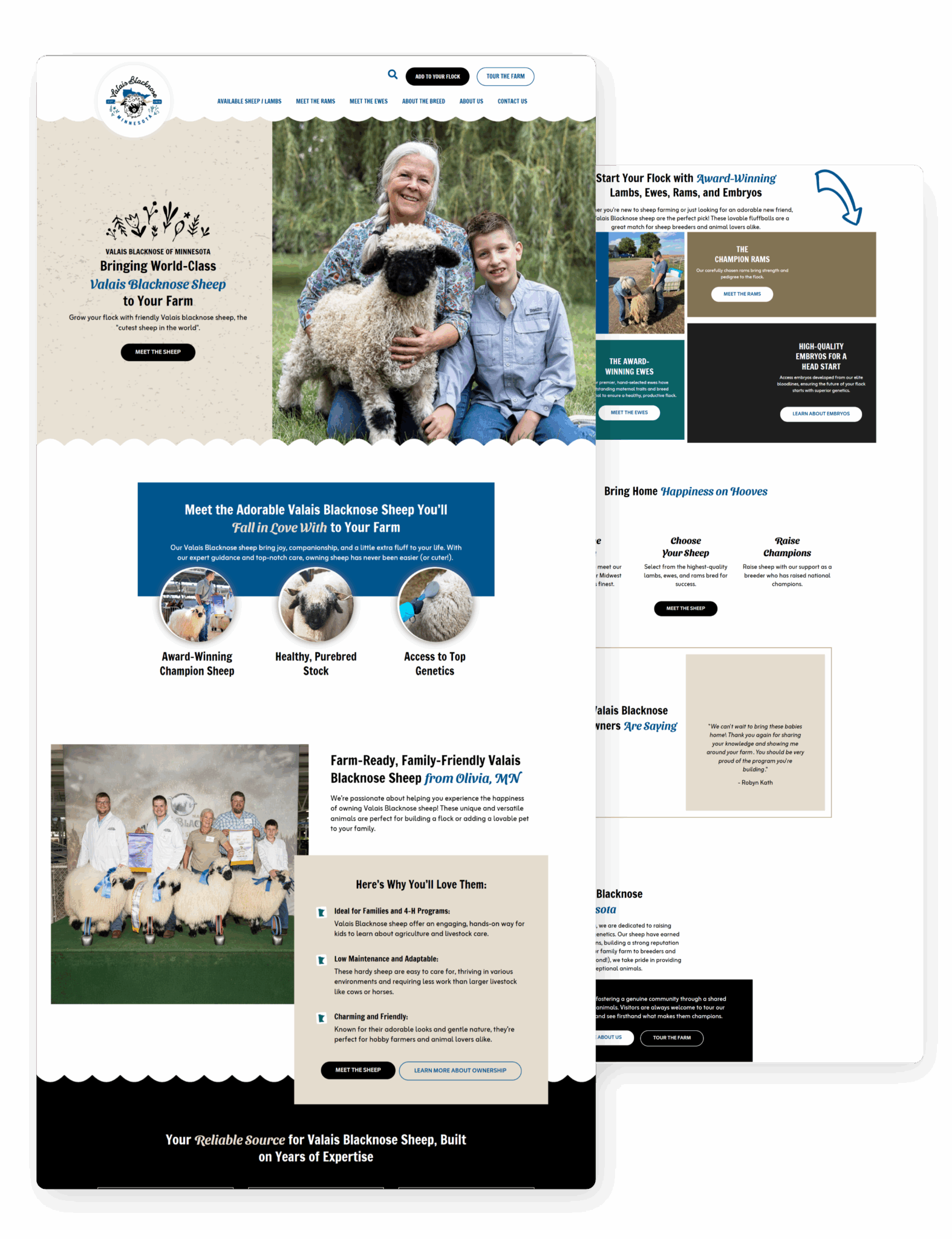 valais blacknose website mockup valais blacknose website mockup