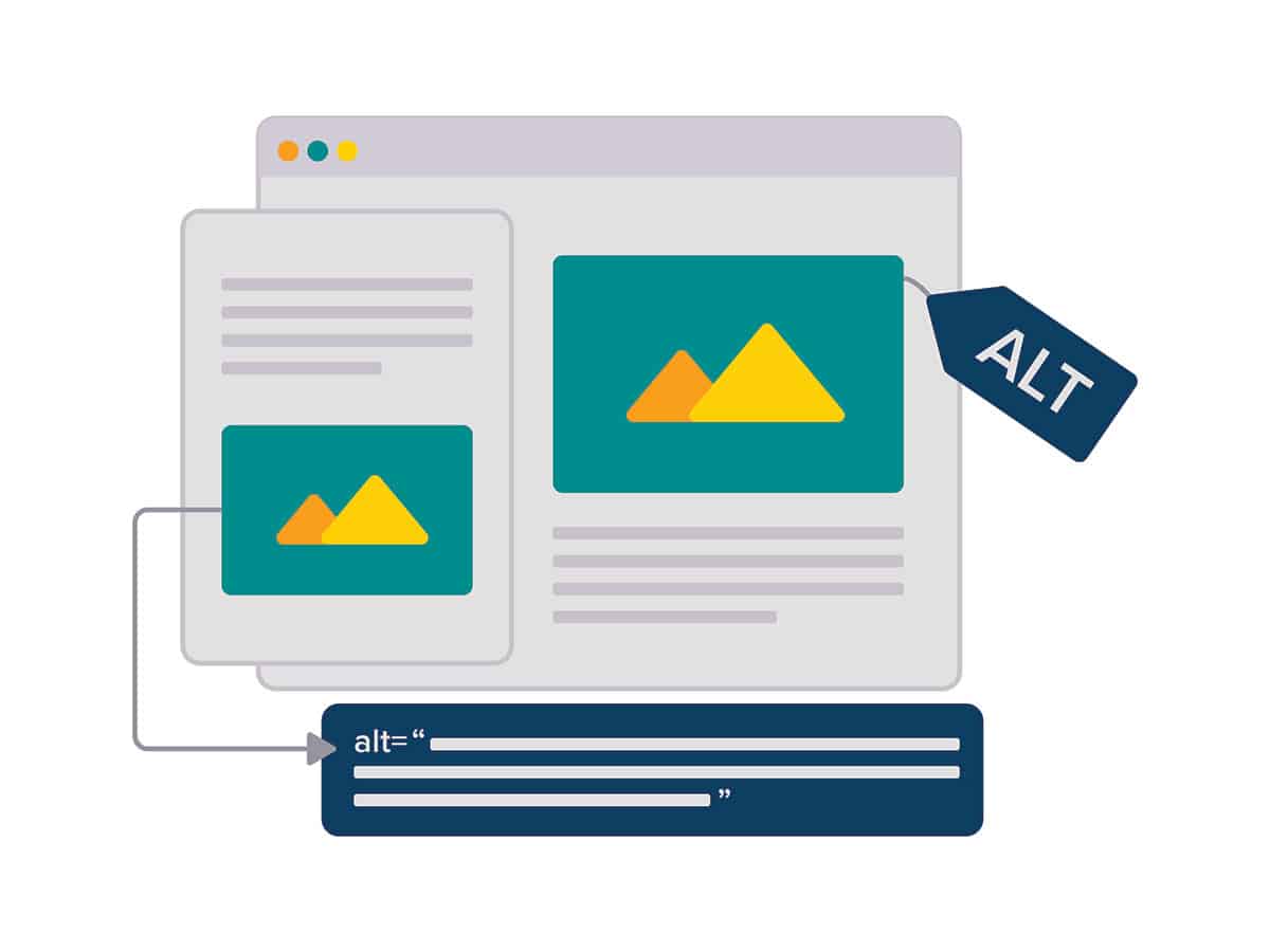 image alt text infrographic