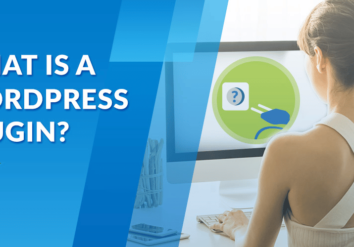 What is a WordPress Plugin?