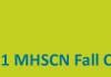 Mhscn Banner